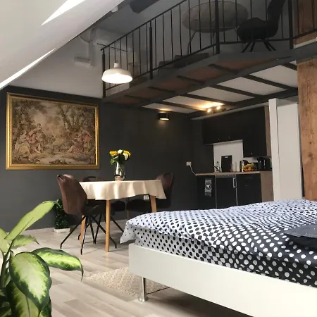 Savoya Nr2 Loft Studio Old City Center Self Check-In Workspace Timişoara Exterior foto
