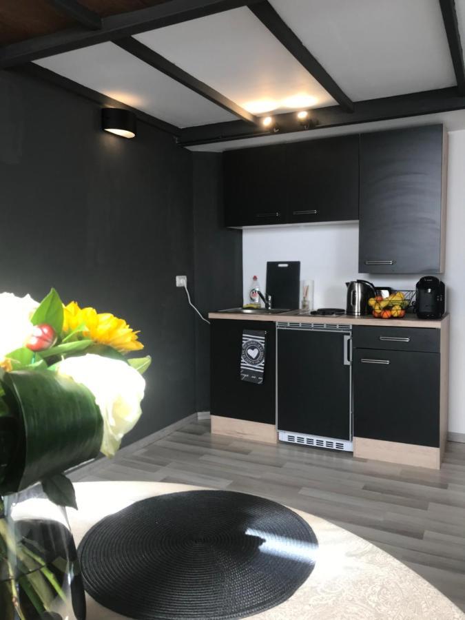 Savoya Nr2 Loft Old Center Self Check-in Workspace * Timişoara
