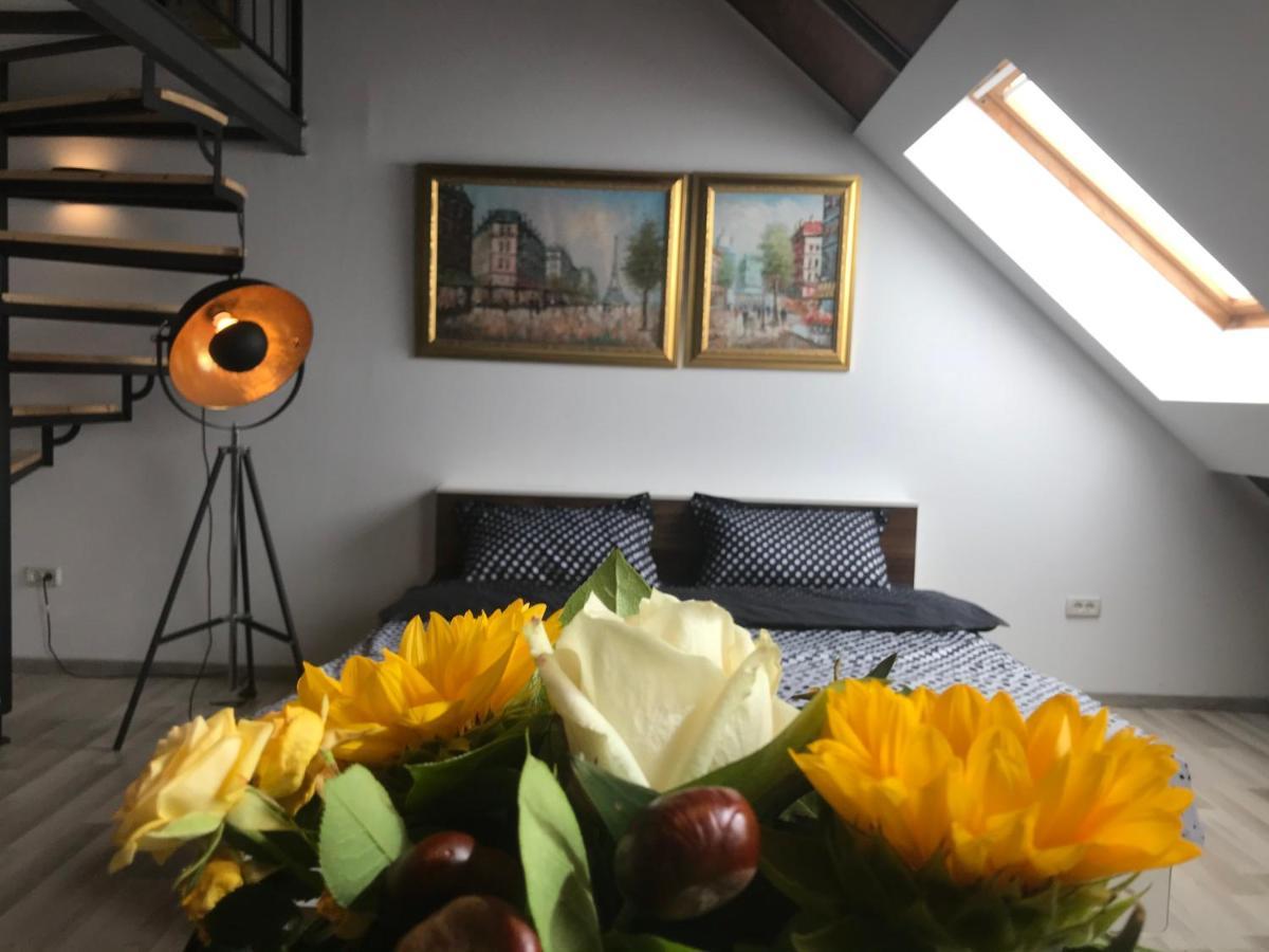 Savoya Nr2 Loft Old Center Self Check-in Workspace Apartament Timişoara